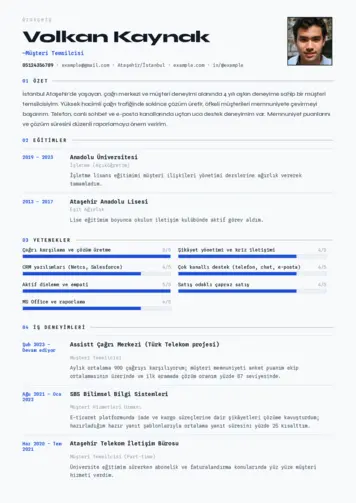  cv indir